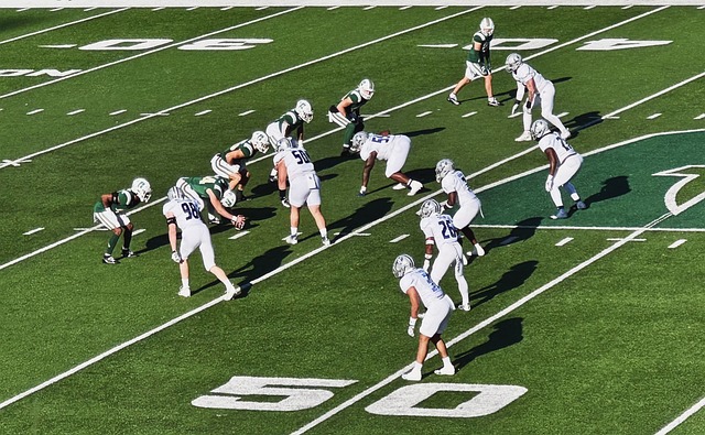 期发展打下 期发展打下