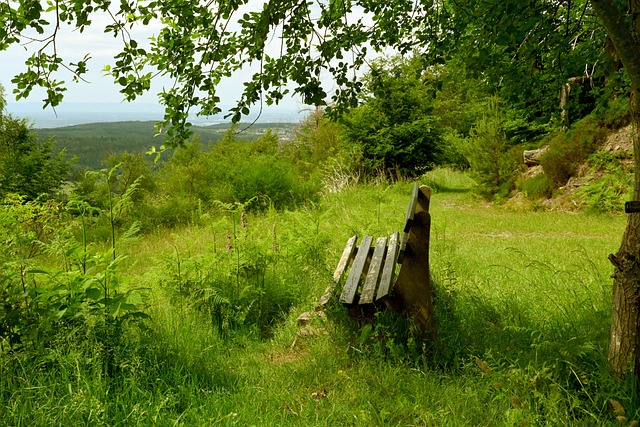 表现感到骄 表现感到骄