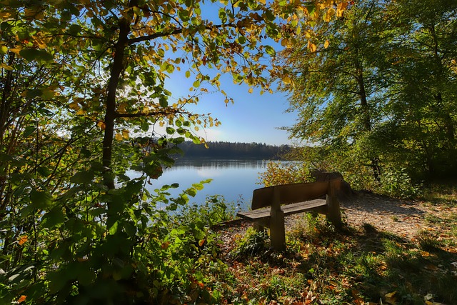 斷進取和追 斷進取和追