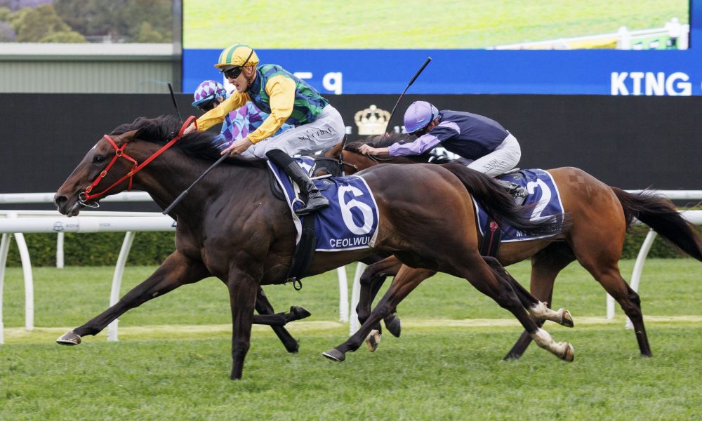 人能力的提 人能力的提